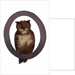 Owl Is For Owl Illustration by Anonymous