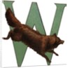 W Is For Wolverine Illustration by Anonymous
