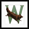 W Is For Wolverine Illustration by Anonymous