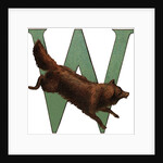 W Is For Wolverine Illustration by Anonymous