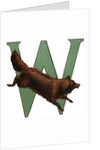 W Is For Wolverine Illustration by Anonymous