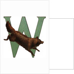 W Is For Wolverine Illustration by Anonymous