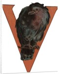 V Is For Vulture Illustration by Anonymous