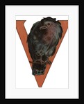 V Is For Vulture Illustration by Anonymous