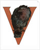 V Is For Vulture Illustration by Anonymous