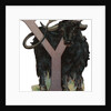 Y Is For Yak Illustration by Anonymous