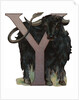Y Is For Yak Illustration by Anonymous