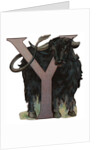 Y Is For Yak Illustration by Anonymous