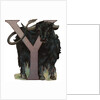 Y Is For Yak Illustration by Anonymous