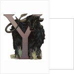 Y Is For Yak Illustration by Anonymous