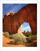 Pine Tree Arch in Arches National Park by Anonymous