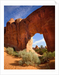Pine Tree Arch in Arches National Park by Anonymous