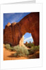 Pine Tree Arch in Arches National Park by Anonymous