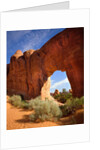 Pine Tree Arch in Arches National Park by Anonymous