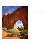 Pine Tree Arch in Arches National Park by Anonymous