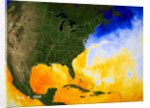 Sea Surface Temperature Map by Anonymous