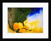 Sea Surface Temperature Map by Anonymous