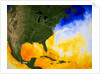 Sea Surface Temperature Map by Anonymous