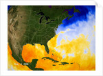 Sea Surface Temperature Map by Anonymous