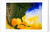 Sea Surface Temperature Map by Anonymous
