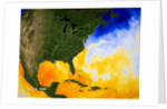Sea Surface Temperature Map by Anonymous