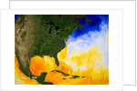 Sea Surface Temperature Map by Anonymous