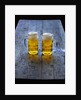 Two Glass Mugs of Beer on Table by Anonymous