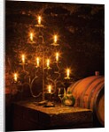Wine Cellar in Bavarian Castle by Anonymous