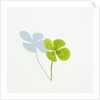 Four Leaf Clover by Anonymous