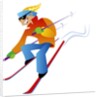 Freestyle Downhill Skiier by Anonymous
