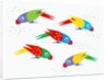 Five parrots pecking birdseed by Anonymous
