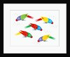 Five parrots pecking birdseed by Anonymous