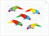 Five parrots pecking birdseed by Anonymous