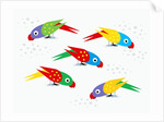 Five parrots pecking birdseed by Anonymous