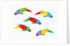Five parrots pecking birdseed by Anonymous