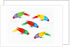 Five parrots pecking birdseed by Anonymous