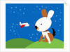Large rabbit watching small airplane by Anonymous