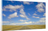 Paved Highway across Pampas by Anonymous