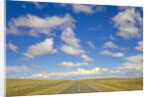 Paved Highway across Pampas by Anonymous