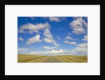 Paved Highway across Pampas by Anonymous