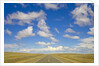 Paved Highway across Pampas by Anonymous