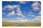 Paved Highway across Pampas by Anonymous