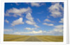 Paved Highway across Pampas by Anonymous