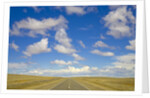 Paved Highway across Pampas by Anonymous