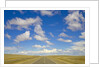 Paved Highway across Pampas by Anonymous