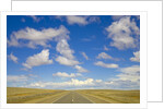 Paved Highway across Pampas by Anonymous