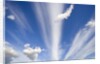 Lenticular and Cumulus Clouds by Anonymous