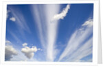 Lenticular and Cumulus Clouds by Anonymous