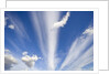 Lenticular and Cumulus Clouds by Anonymous