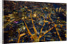 Aerial View of London at Night by Anonymous